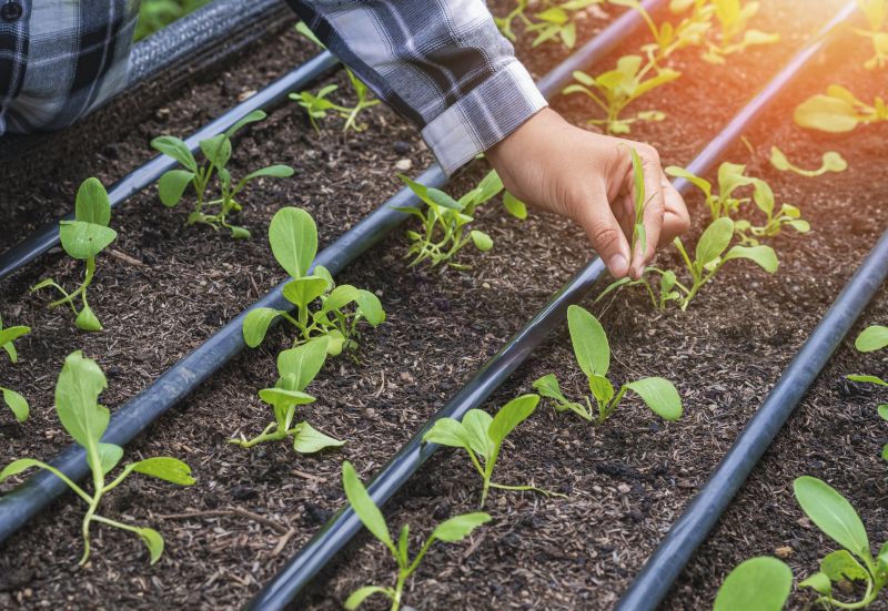 Commercial Irrigation Service in Honolulu, HI