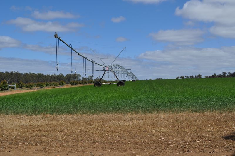 Commercial Irrigation Service in Aiken, SC