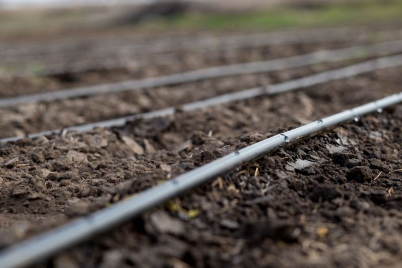 Drip Irrigation Installation in Aiken, SC