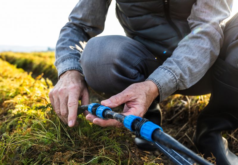 Irrigation Repair in Honolulu, HI