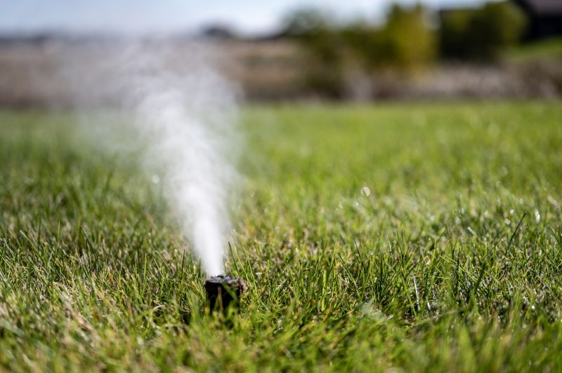 Lawn Sprinkler Replacement in Honolulu, HI