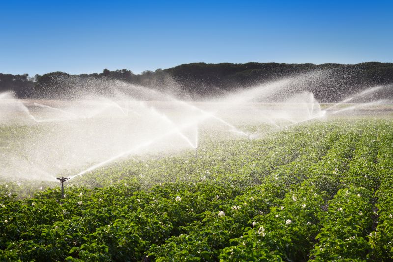 Mist Irrigation Installation in Aiken, SC