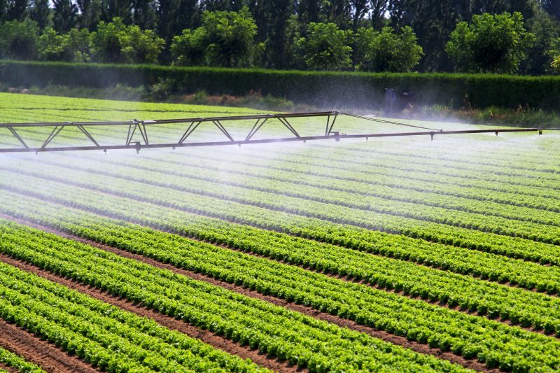 Mist Irrigation Installation in Ventura County, CA