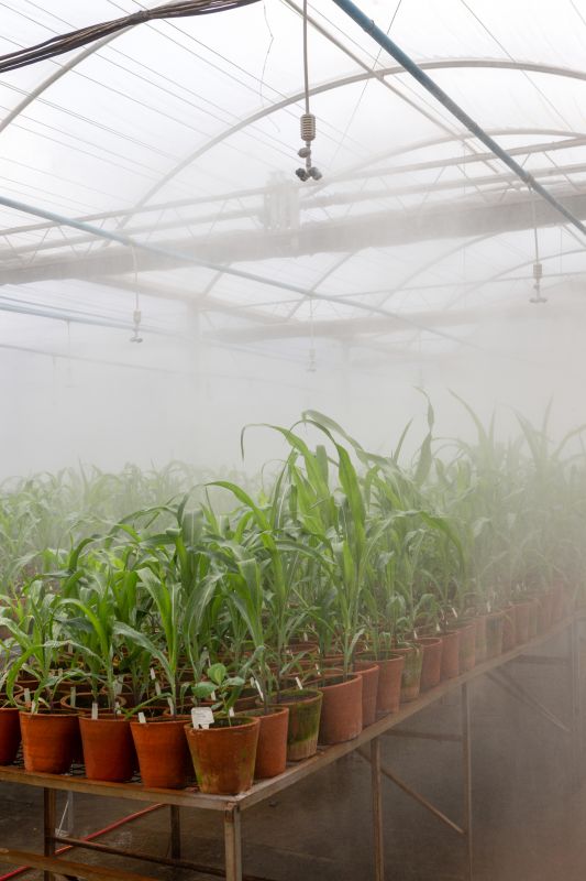 Mist Irrigation Installation in Ventura County, CA