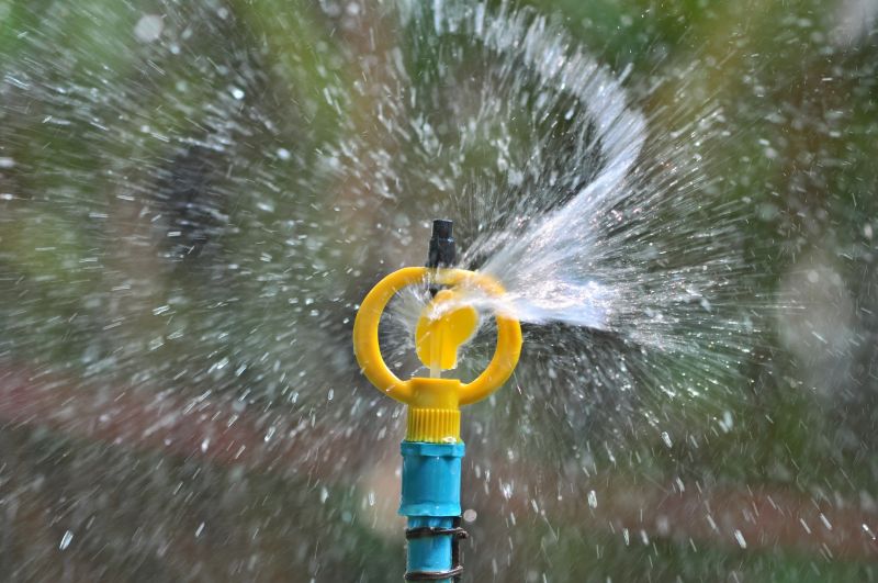 Sprinkler Blowout Service in Reno, NV