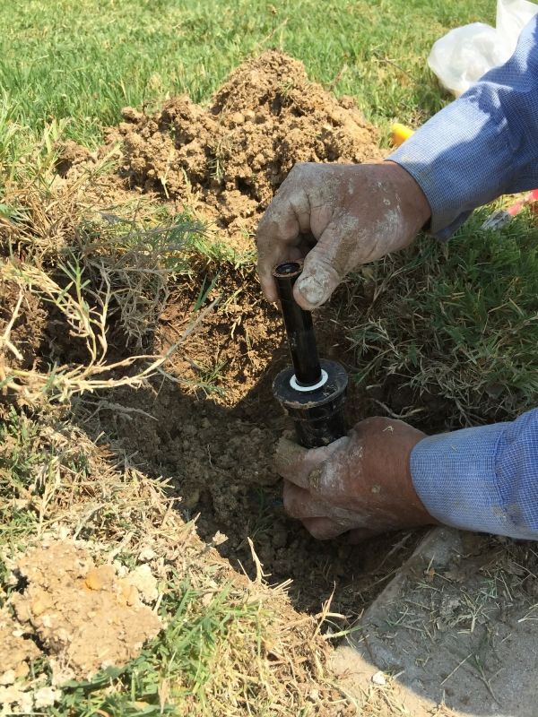 Sprinkler Head Replacement in Aiken, SC