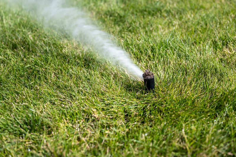 Sprinkler Winterization in Carson City, NV