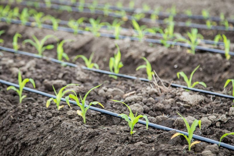 Underground Irrigation Service in Honolulu, HI